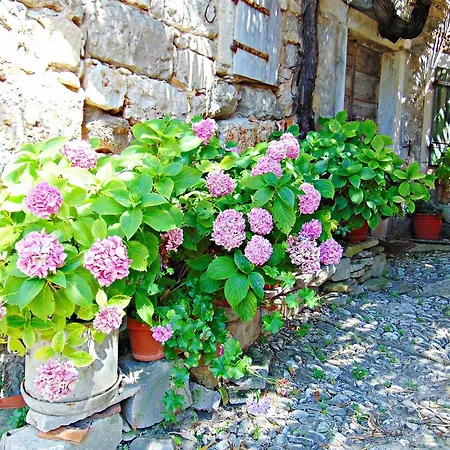 Apartament Luna *